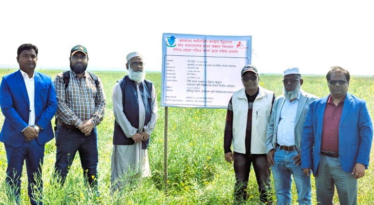 হাওরে সরিষা চাষে নতুন সম্ভাবনা